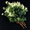 THE TWILIGHT SAGA: BREAKING DAWN PART 1 (2011) - Bella Swan's Wedding Flowers