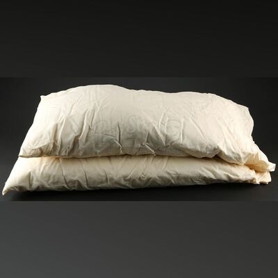 THE TWILIGHT SAGA: BREAKING DAWN PART 1 (2011) - Bella and Edward Cullen's Honeymoon Pillows