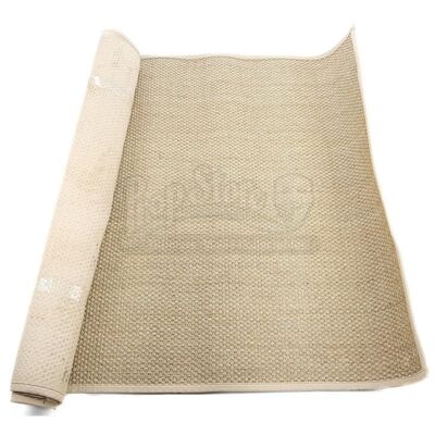 THE TWILIGHT SAGA: BREAKING DAWN PART 1 (2011) - Isle Esme Entryway Rug