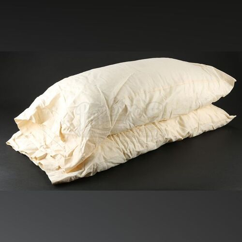 THE TWILIGHT SAGA: BREAKING DAWN PART 1 (2011) - Bella and Edward's Honeymoon Pillows