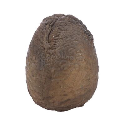 Lot # 10: ALIENS (1986) - Xenomorph Egg