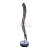 Lot # 238: SPIDER-MAN 2 (2004) - Doctor Octopus' (Alfred Molina) Tentacle Display