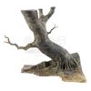 Lot # 273: STAR WARS - EP III - REVENGE OF THE SITH (2005) - Kashyyyk Tree Design Maquette