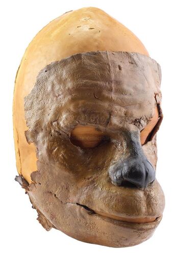 Lot # 331: STAR WARS - EP VI - RETURN OF THE JEDI (1983) - Chewbacca (Peter Mayhew) Skin and Head Cast