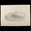 Lot # 587: CONAN THE BARBARIAN (1982) - Hand-Drawn Ron Cobb Snake Concept Sketch