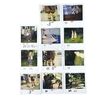 Lot # 678: FORREST GUMP (1994) - Polaroids Featuring Young Forrest (Michael Conner Humphreys), Young Jenny (Hanna Hall), and Leg Braces