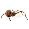 Lot # 806: JUMANJI (1995) - Giant Spider