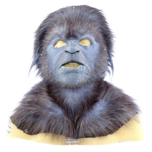 Lot # 1357: X-MEN: FIRST CLASS (2011) - Beast's (Nicholas Hoult) Master Cowl with Wig
