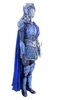 Lot # 3: Blue Crane Corps Captain Gold Detailed Armor - 2