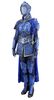 Lot # 3: Blue Crane Corps Captain Gold Detailed Armor - 3