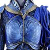 Lot # 3: Blue Crane Corps Captain Gold Detailed Armor - 6