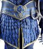 Lot # 3: Blue Crane Corps Captain Gold Detailed Armor - 7