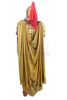 Lot # 5: Palace Imperial Guard Costume - 4