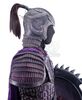 Lot # 7: Purple Deer Corps Soldier Armor with Shield - 3
