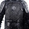 Lot # 10: Black Bear Corps Soldier Armor with Weapons - 5