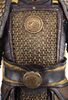 Lot # 11: Gold Tiger Corps Soldier Armor with Shield - 5