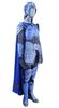 Lot # 13: Blue Crane Corps Lieutenant Silver Detailed Armor - 2