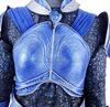 Lot # 13: Blue Crane Corps Lieutenant Silver Detailed Armor - 6