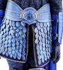 Lot # 13: Blue Crane Corps Lieutenant Silver Detailed Armor - 7