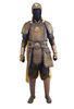 Lot # 17: Gold Tiger Corps Soldier Armor with Shield - 2