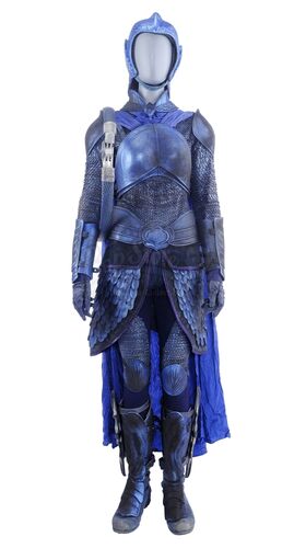 Lot # 162: Blue Crane Corps Soldier Battle Damaged Armor