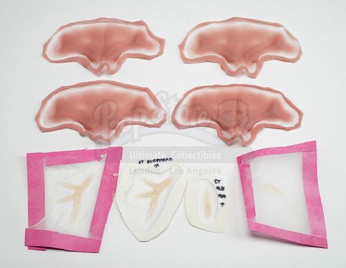 Lot # 100: The Gifted - Dr. Roderick Campbell's Scar Appliances with Four Mutant Prosthetics