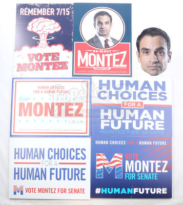 Lot # 142: The Gifted - Set of Senator Matthew Montez's Campaign Materials