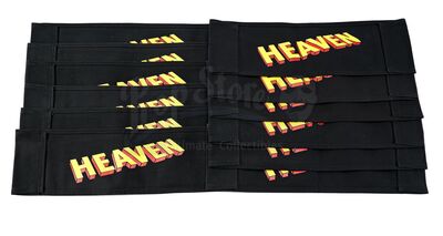 Lot # 160: The Gifted - Collection of Blank and "Guest Cast" Chairbacks