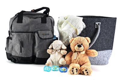 Lot # 293: The Gifted - Polaris' Baby Bag and Backpack