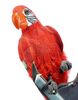 Lot # 1: Episode "Pirate Special" (2007, E71): Popup Pirate Grant with Parrot - 7