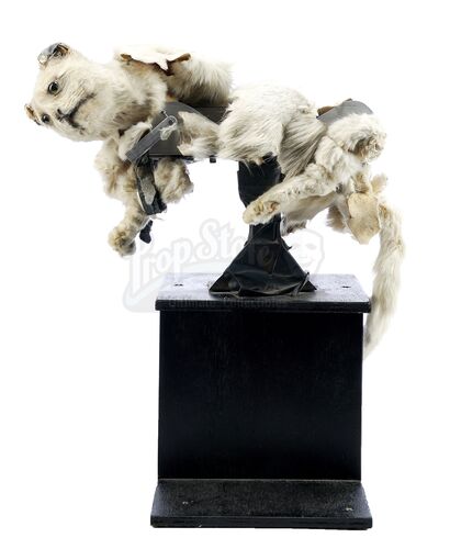 Lot # 50: Episode "Dog Myths" (2007, E74): Robo Cat