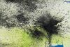 Lot # 84: Episode "Painting with Explosives/Bifurcated Boat" (2013, E205): Two Paintings with Explosives Paintings - 3