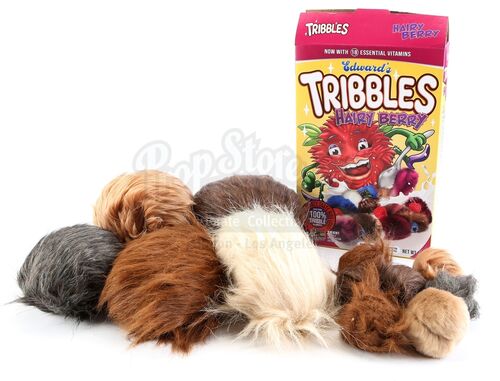 Lot # 229: 'The Trouble with Edward' (202) - "Hairy Berry" Cereal Box with Tribbles