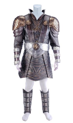 Lot # 181: Season 1 (2017-2018) - Ujilli's (Damon Runyan) Costume