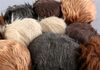 Lot # 223: 'The Trouble with Edward' (202) - Set of 10 Tribbles - 3
