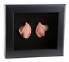 Lot # 2: Star Trek Into Darkness (2013) - Framed Spock (Leonard Nimoy) Ears from the Collection of Leonard Nimoy - 2