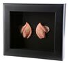 Lot # 2: Star Trek Into Darkness (2013) - Framed Spock (Leonard Nimoy) Ears from the Collection of Leonard Nimoy - 3