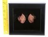 Lot # 2: Star Trek Into Darkness (2013) - Framed Spock (Leonard Nimoy) Ears from the Collection of Leonard Nimoy - 5