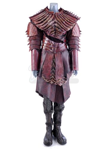 Lot # 19: Season 1 (2017-2018) - Battle-Damaged House of T'Kuvma Red Costume