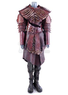 Lot # 19: Season 1 (2017-2018) - Battle-Damaged House of T'Kuvma Red Costume
