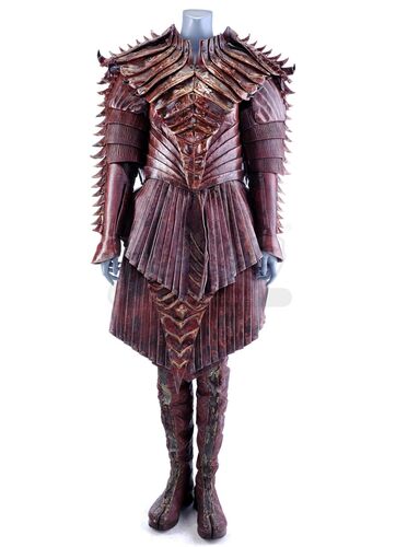 Lot # 48: Season 1 (2017-2018) - House of T'Kuvma Red Costume