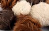 Lot # 100: 'The Trouble with Edward' (202) - Set of Eight Tribbles - 3