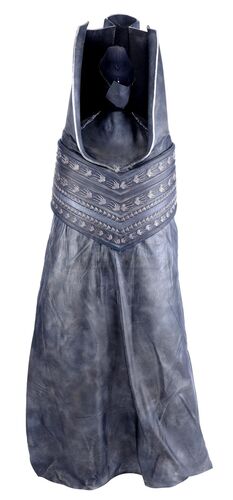 Lot # 129: 'Lethe' (106) - Cancri IV Host's Robe Display