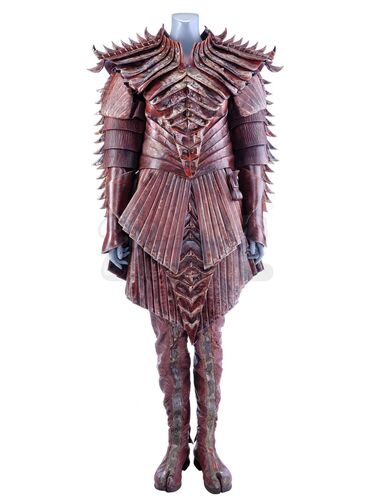 Lot # 52: Season 1 (2017-2018) - House of T'Kuvma Red Costume