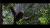 Lot #150 - TARZAN AND THE LOST CITY (1998) - Ape Mask - 13
