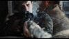 Lot #283 - SAVING PRIVATE RYAN (1998) - German Sniper (Leo Stransky) Hero Sniper Rifle and Additional Exploded Sight - 47