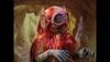 Lot #291 - SPACE: 1999 (T.V. SERIES, 1975 - 1977) - Maya's (Catherine Schell) Transformation Creature Costume - 14
