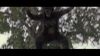 Lot #149 - TARZAN AND THE LOST CITY (1998) - Ape Mask and Suit - 9