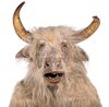 Lot #68 - THE CHRONICLES OF NARNIA: PRINCE CASPIAN (2008) - Minotaur Full Creature Costume and Mask Display - 3