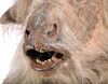 Lot #68 - THE CHRONICLES OF NARNIA: PRINCE CASPIAN (2008) - Minotaur Full Creature Costume and Mask Display - 10